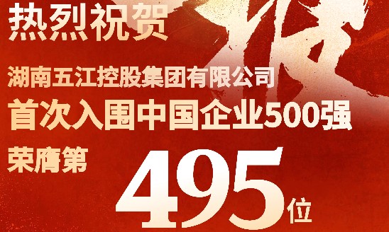 喜报！集团首次跻身中国企业500强
