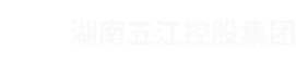 湖南优发国际控股集团有限公司